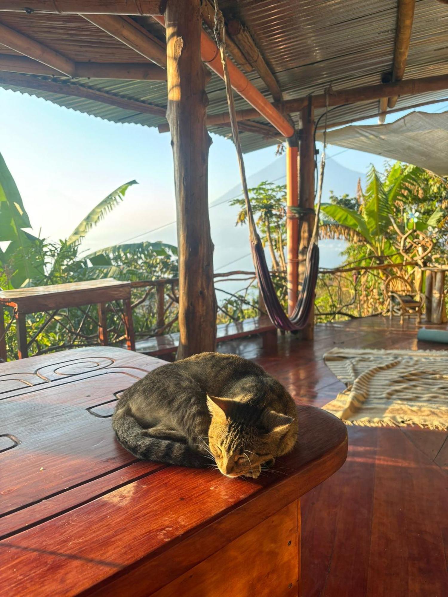 サン・マルコス・ラ・ラグナ Earthship Atitlanゲストハウス エクステリア 写真